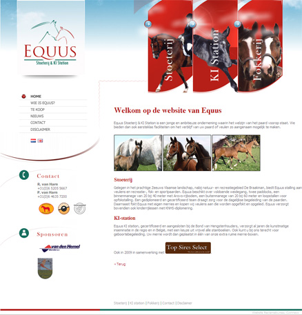 website