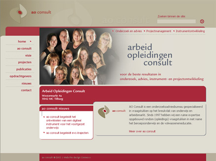 website CMS  ao consult