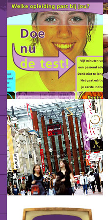 Website Marketing Management