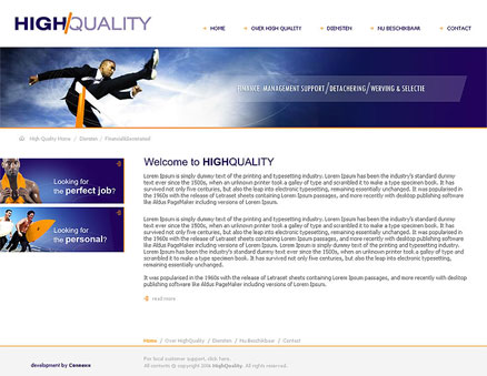 website CMS high quality